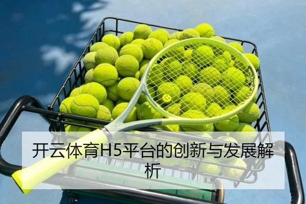 开云体育H5平台的创新与发展解析
